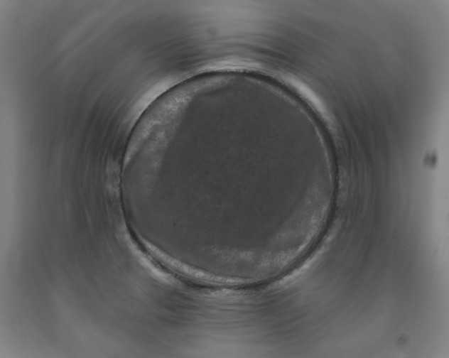 X0000091951329200709271318