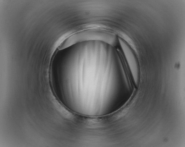 X0000091951330200709271318