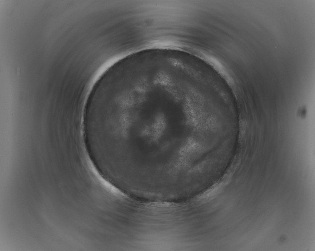 X0000091951331200709271318