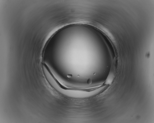 X0000091951332200709271318