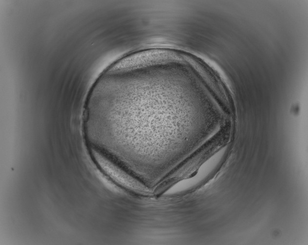 X0000091951333200709271318