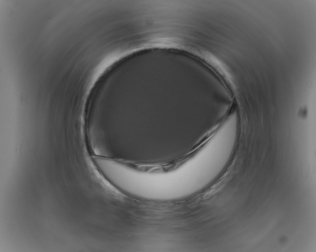 X0000091951334200709271318