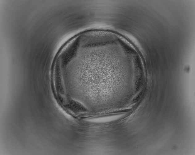 X0000091951335200709271318