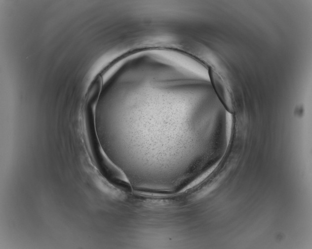 X0000091951336200709271318