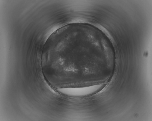 X0000091951337200709271318