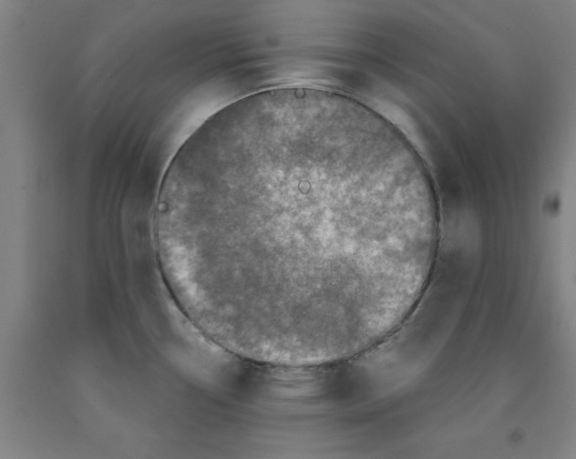 X0000091951338200709271318