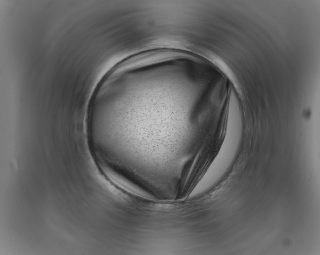 X0000091951339200709271318