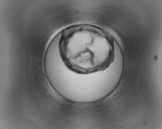 X0000091951340200709271318