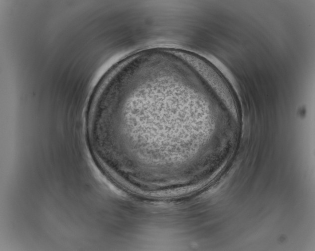 X0000091951341200709271318