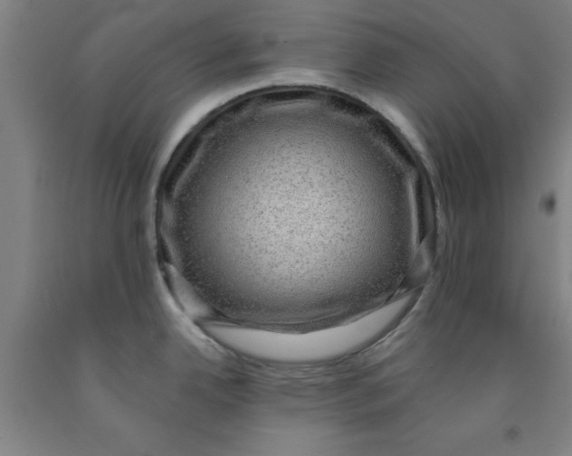 X0000091951342200709271318