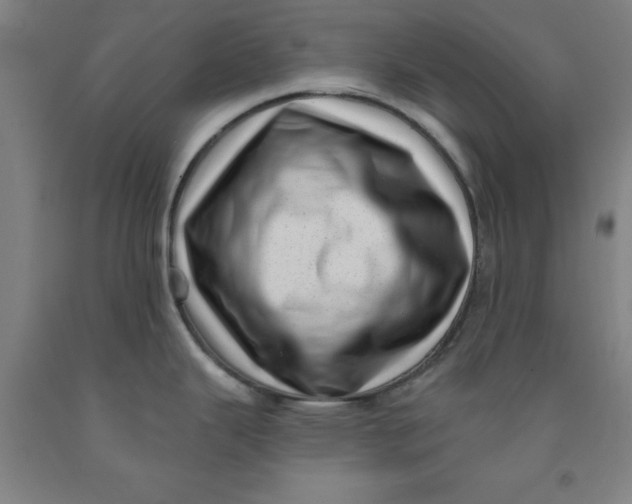 X0000091951343200709271318