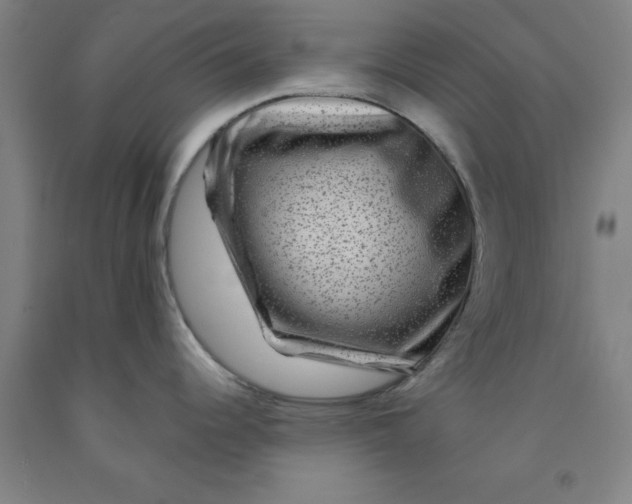 X0000091951344200709271318