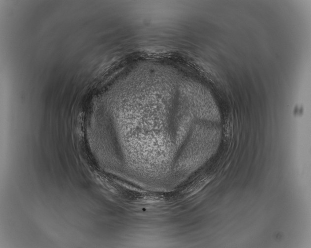 X0000091951346200709271318