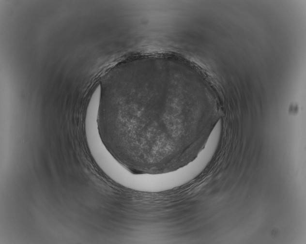 X0000091951348200709271318