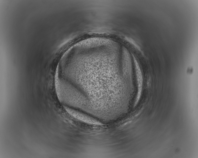 X0000091951350200709271318