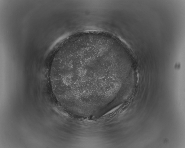 X0000091951351200709271318