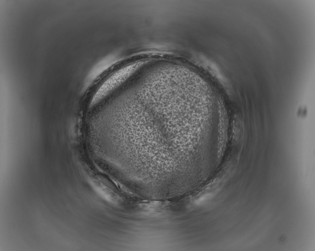 X0000091951352200709271317