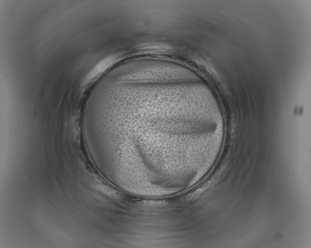 X0000091951354200709271317