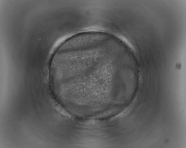 X0000091951358200709271317