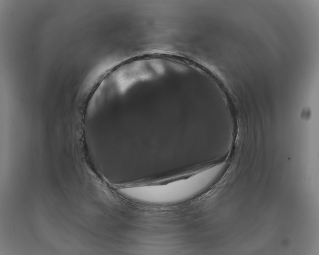 X0000091951359200709271317