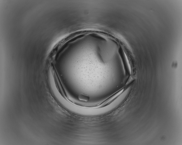 X0000091951360200709271317