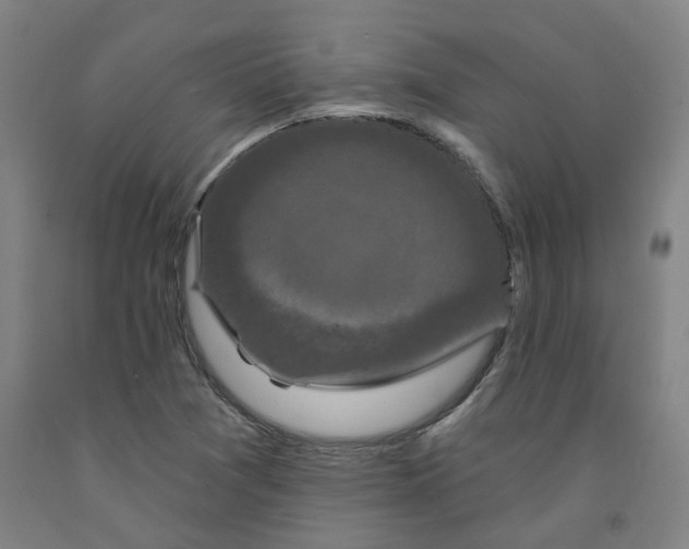 X0000091951361200709271317