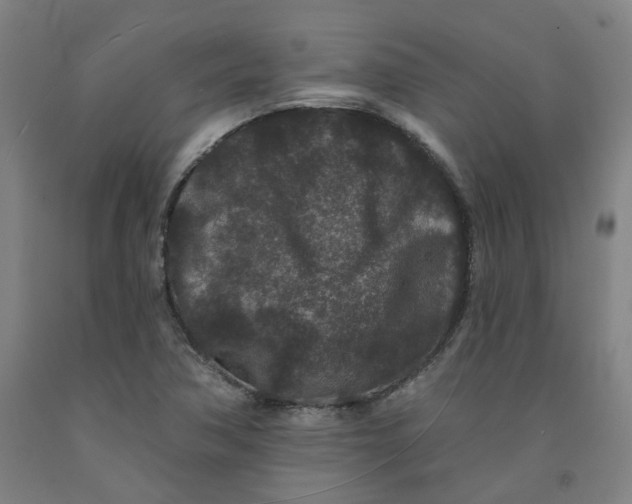 X0000091951362200709271317