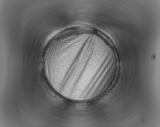 X0000091951363200709271317