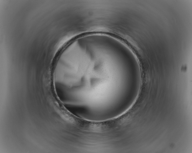 X0000091951364200709271317