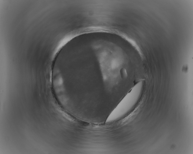 X0000091951365200709271317