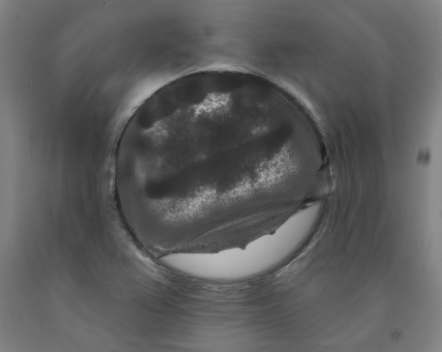 X0000091951367200709271317