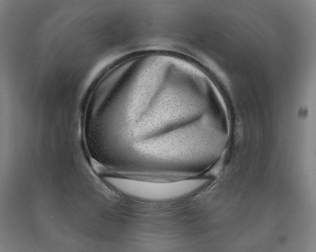 X0000091951368200709271317