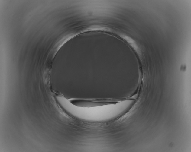 X0000091951369200709271317