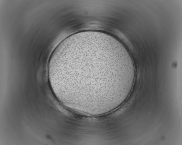 X0000091951370200709271317