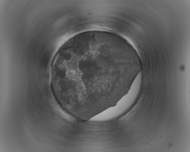 X0000091951371200709271317