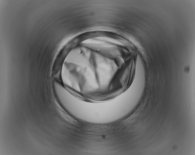 X0000091951372200709271317