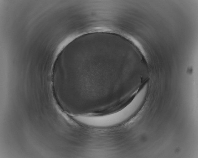 X0000091951373200709271317