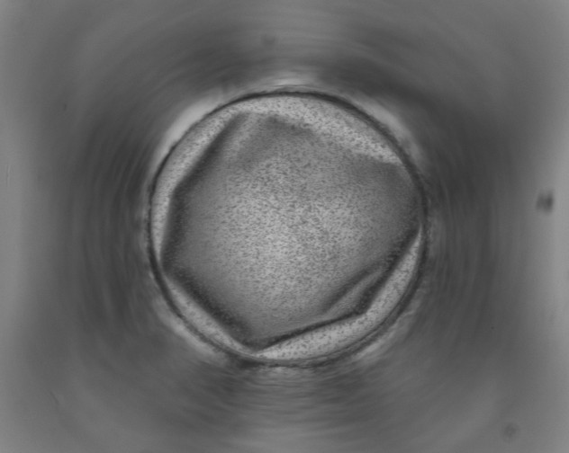 X0000091951374200709271317