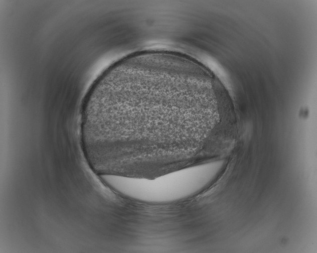 X0000091951376200709271317