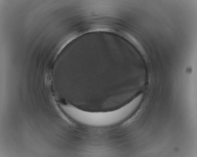 X0000091951377200709271317