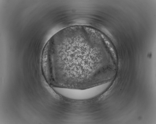 X0000091951378200709271317