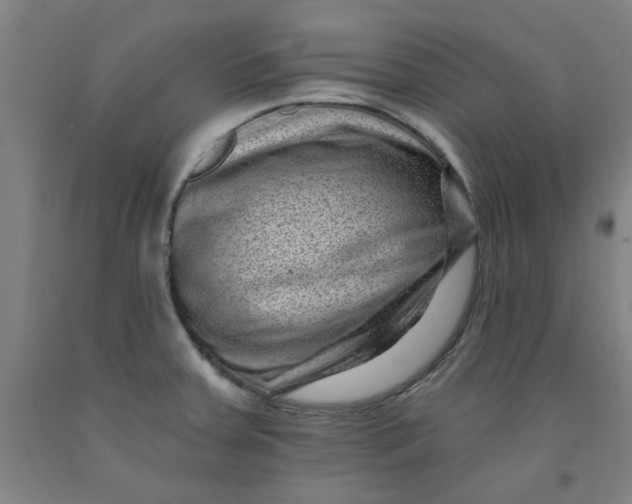 X0000091951379200709271317