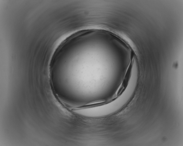 X0000091951380200709271317