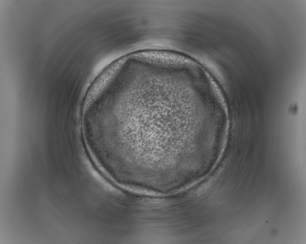 X0000091951382200709271317