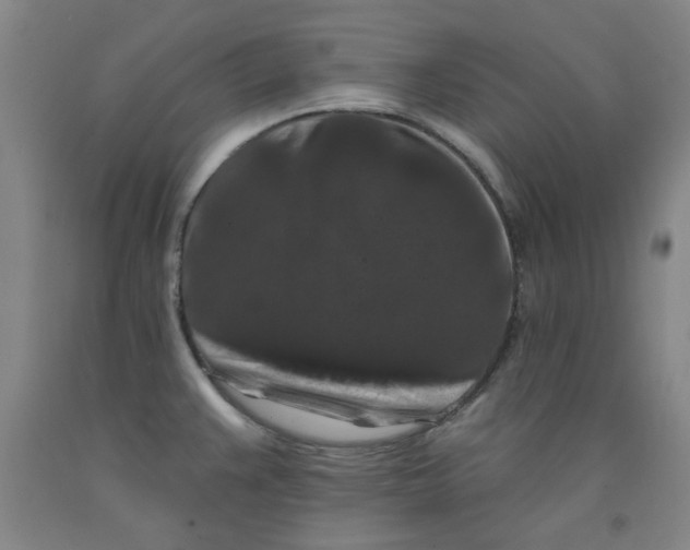 X0000091951383200709271317