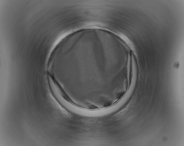 X0000091951384200709271317