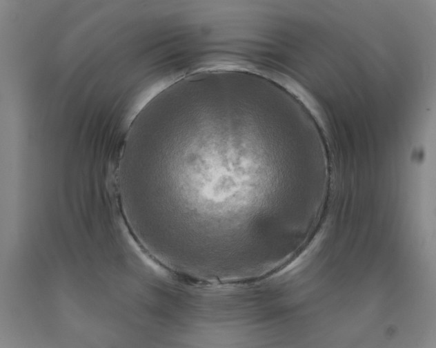 X0000091951385200709271317