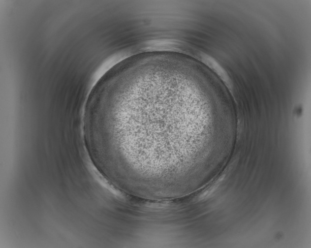 X0000091951386200709271317