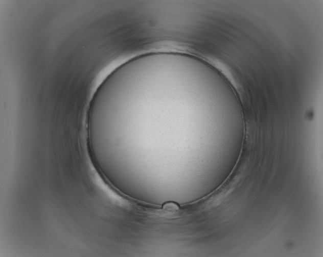 X0000091951387200709271317