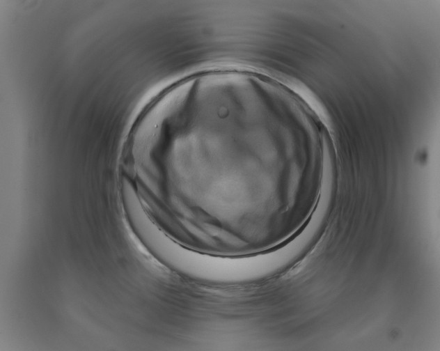 X0000091951388200709271317